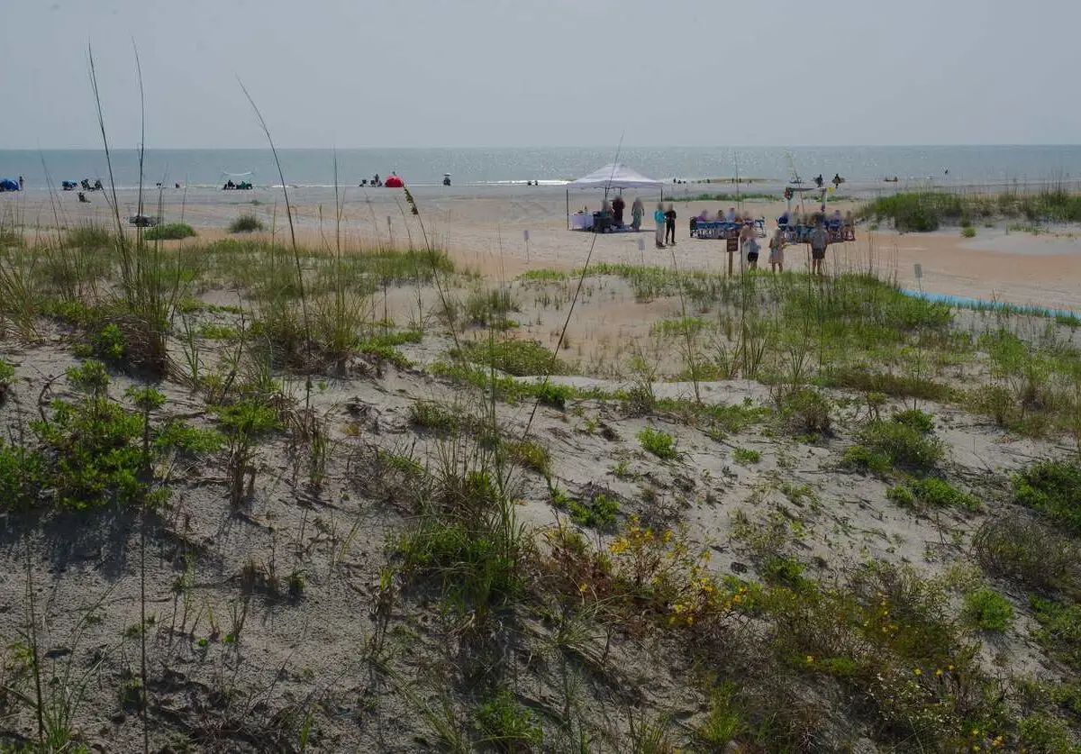 People relaxing and walking near vendor tents on a sunny day at the beach.