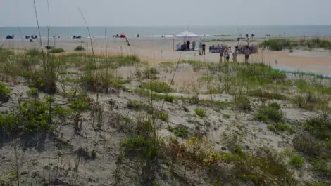 People relaxing and walking near vendor tents on a sunny day at the beach.